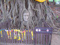 dsc02848.jpg