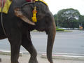 dsc02863.jpg