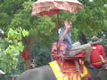 dsc02869.jpg