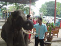 dsc02873.jpg