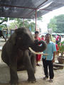 dsc02875.jpg